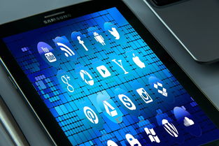mk体育网页-体育社交App用户行为路径与交互机制研究，体育用户特点